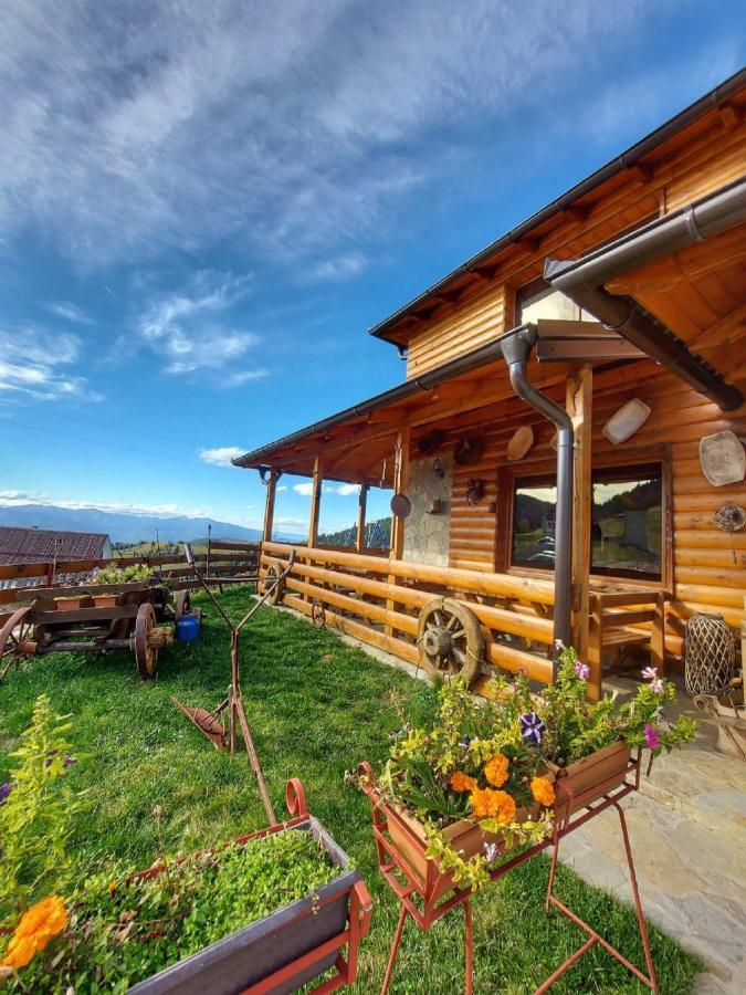 Resort Skrivena Berane Dış mekan fotoğraf