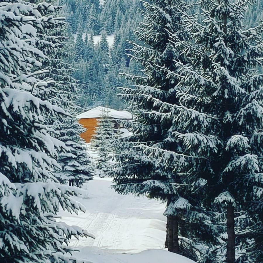 Resort Skrivena Berane Dış mekan fotoğraf